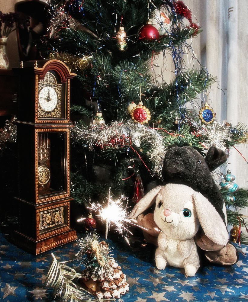 Фотография автора Елена Лаврова