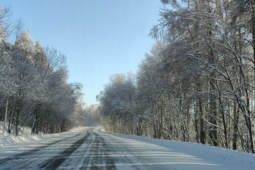 Photo #10117462