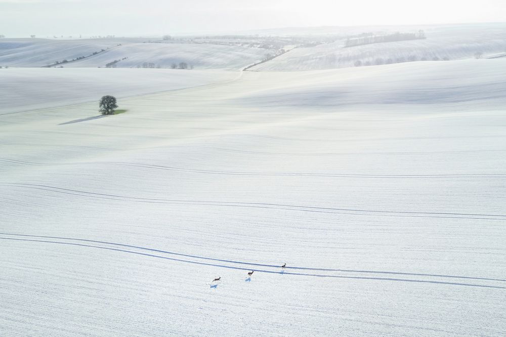Photograph by Василий Яковлев