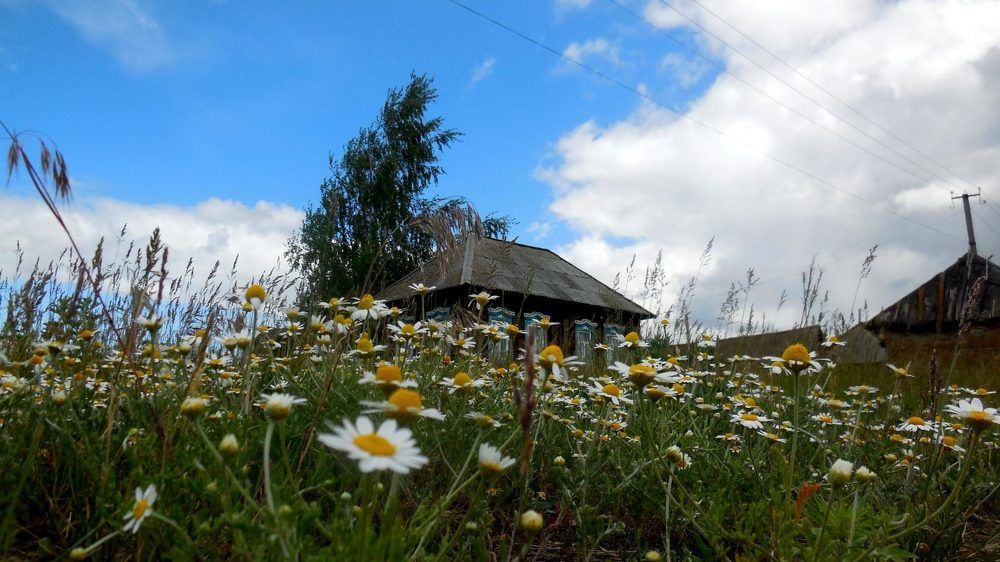 Фотография автора Павел Попов