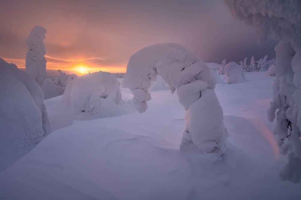 Photograph by Василий Яковлев