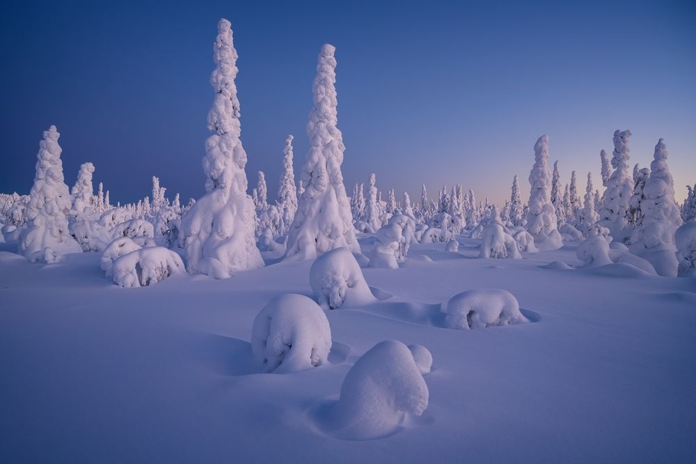 Photograph by Василий Яковлев