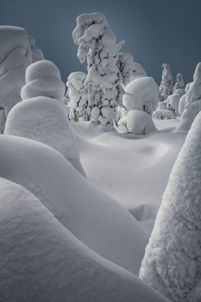 Photograph by Василий Яковлев