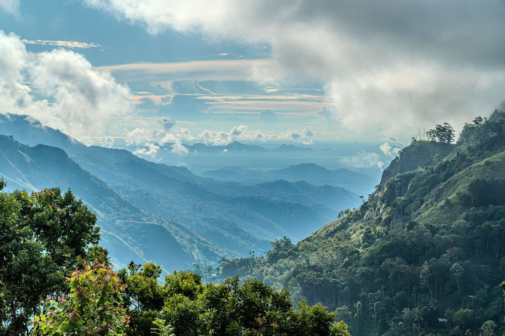 Вид на ущелье Элла, Шри-Ланка.