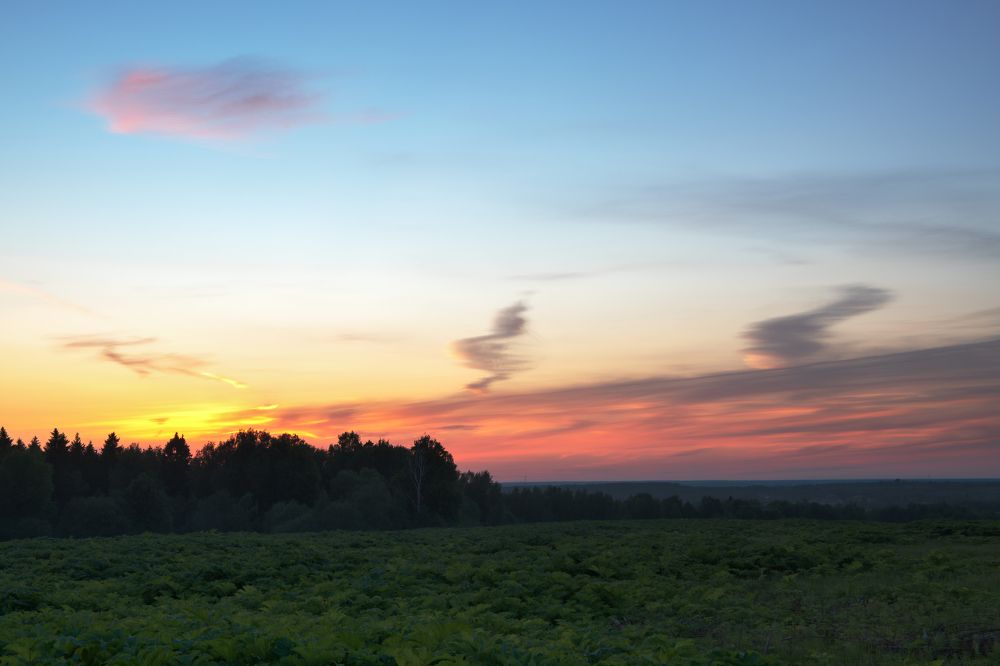 Фотография автора Екатерина Лапаева