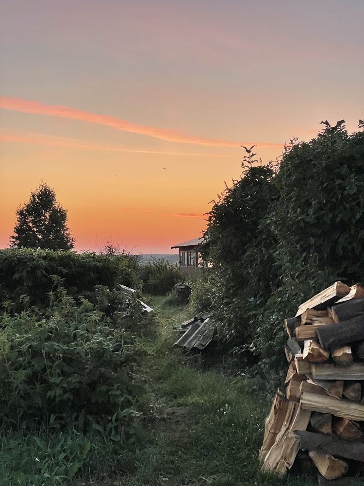 Фотография автора Nadezhda