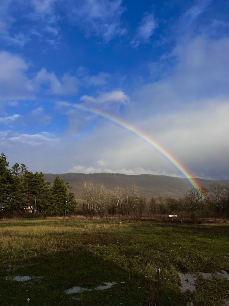 Photograph by Елена Громова