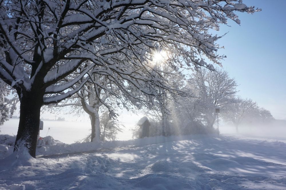 Фотография автора Liudmila Kiermeier