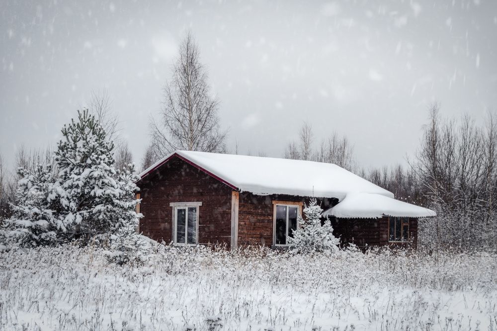 Photograph by Елена Ефимова