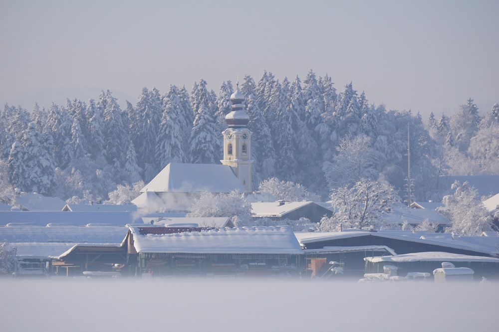 Фотография автора Liudmila Kiermeier