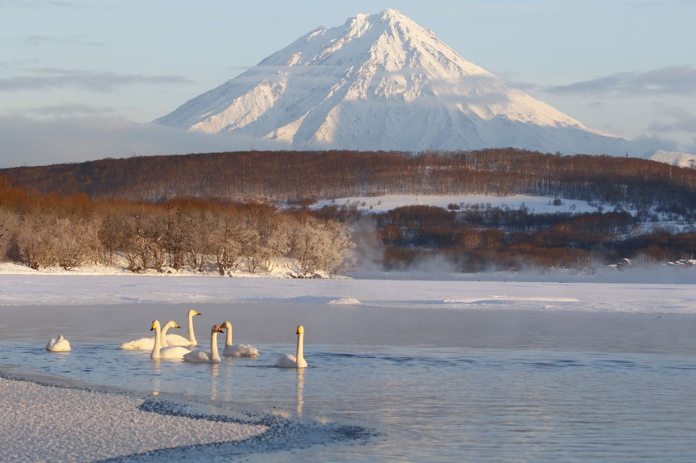 Photograph by Наталья Турчик