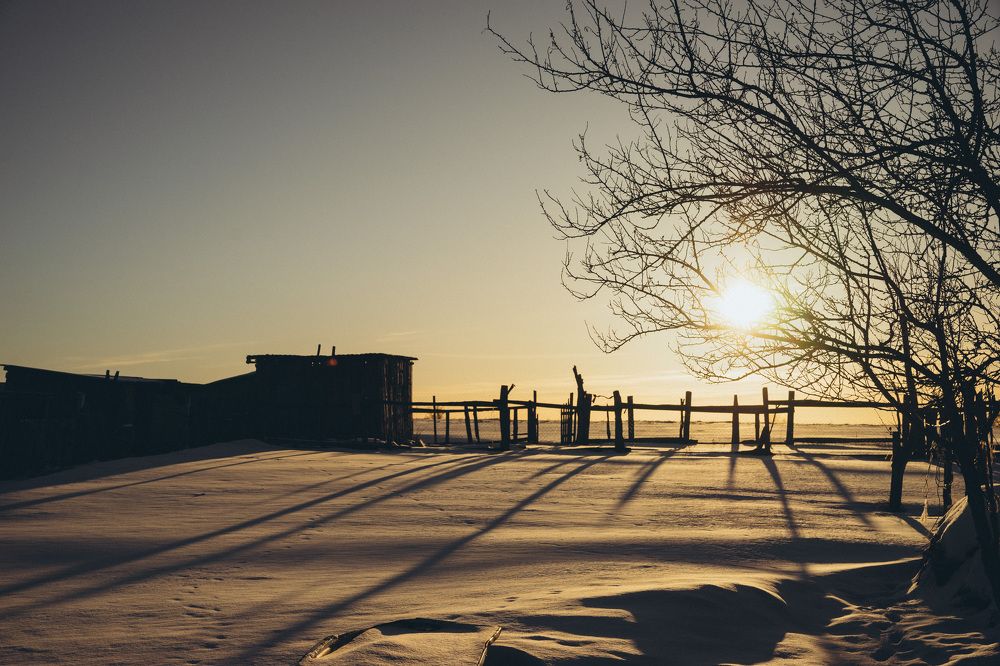 Photograph by Елена Подшевалова