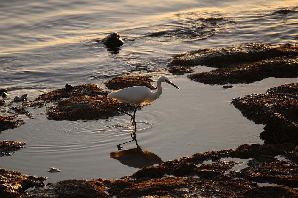 Фотография автора Nieves Gloria Alvarez Diaz