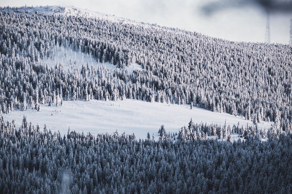 Photograph by Madalin Giurgescu