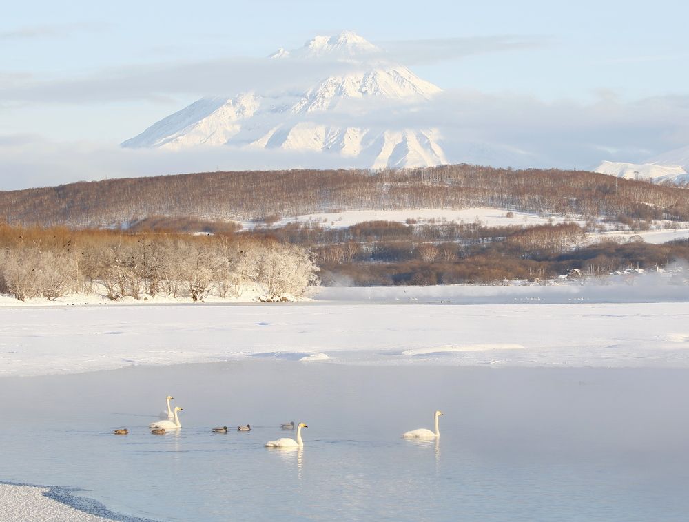 Photograph by Наталья Турчик