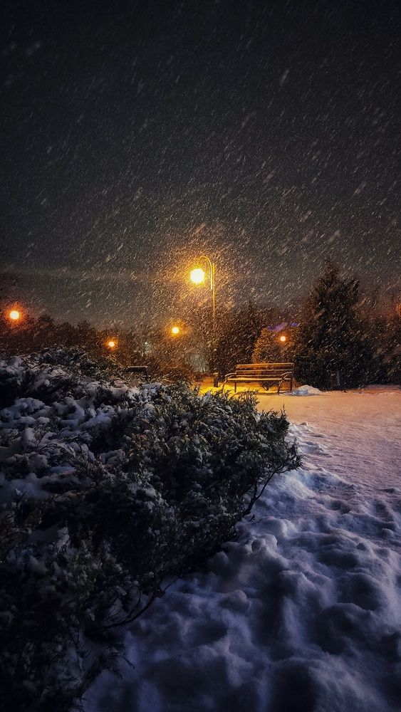 Photograph by Кравец наталья