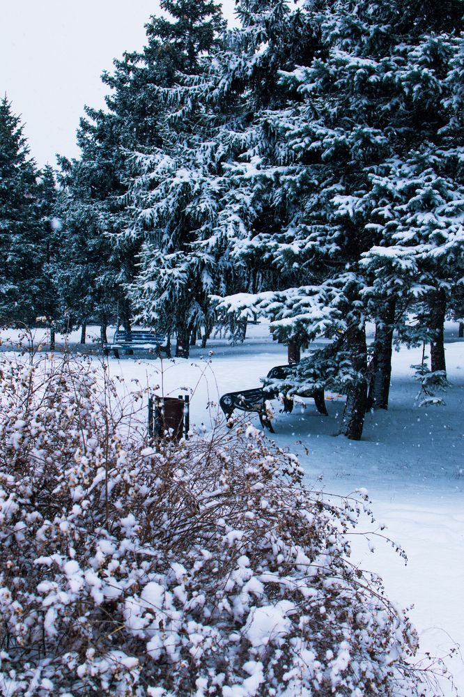 Photograph by Кравец наталья