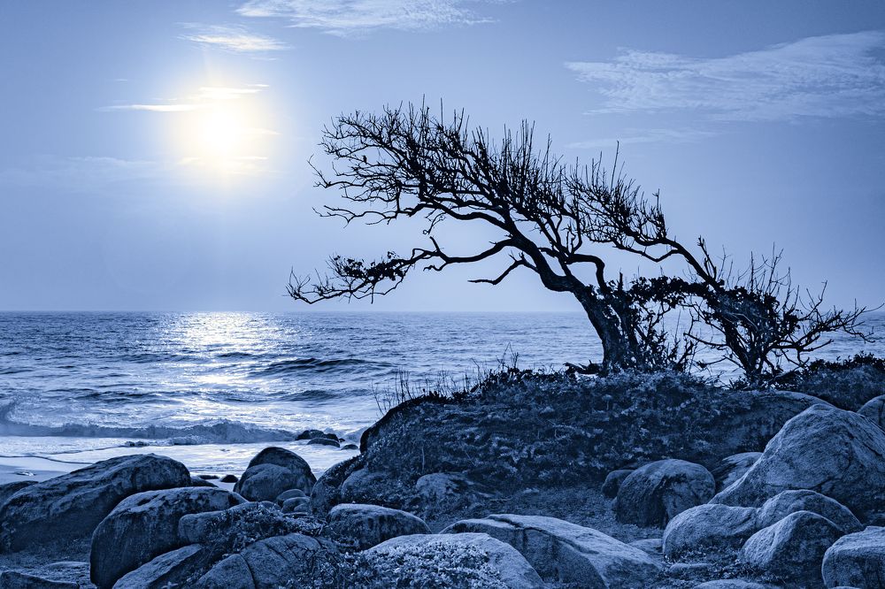 Photograph by Анатолий Асеев