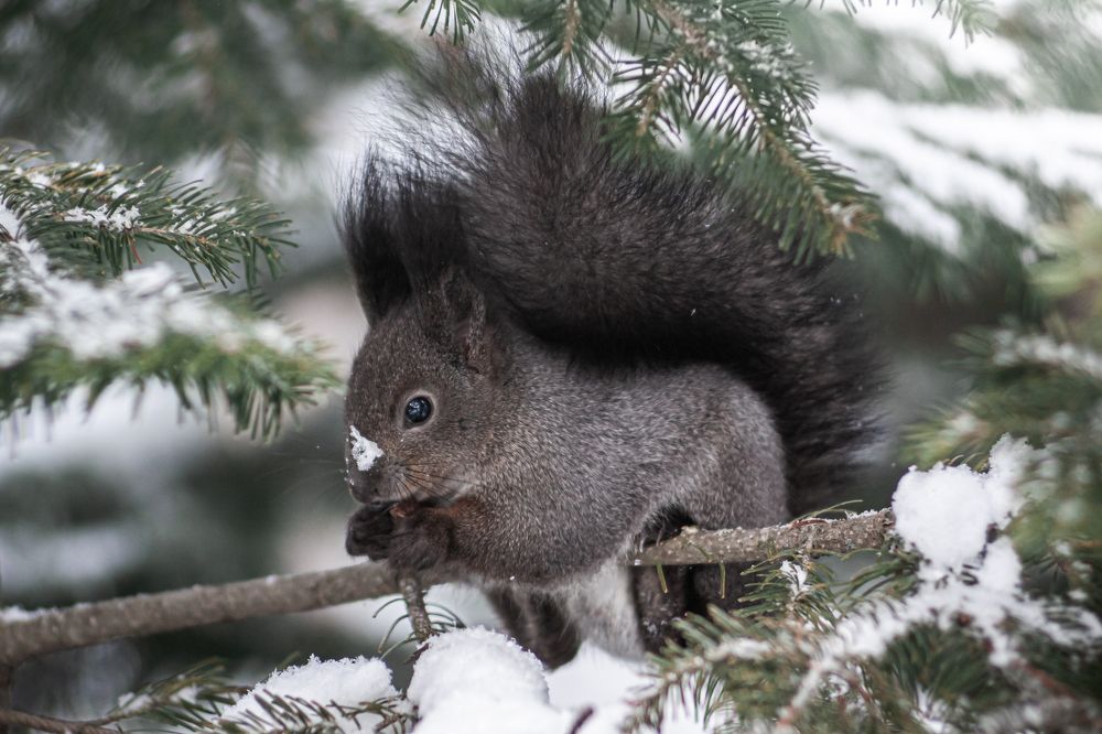 Photograph by Наталья Островцева