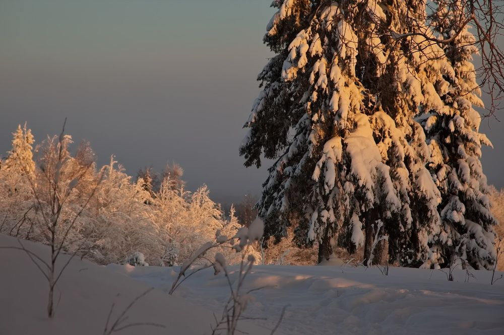 Photograph by Олег Раков