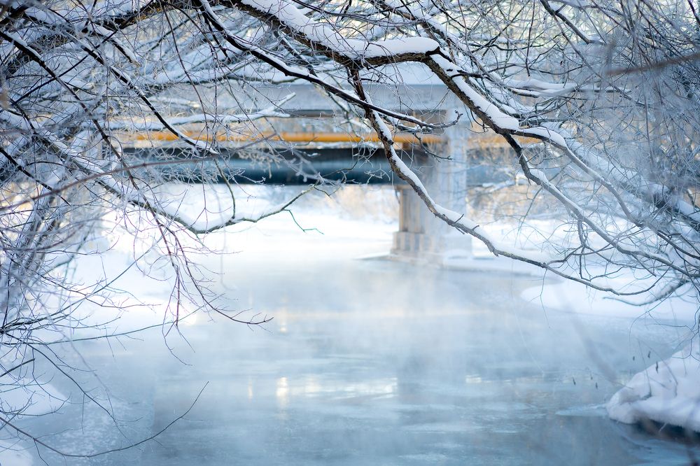 Фотография автора Барсуков Владимир