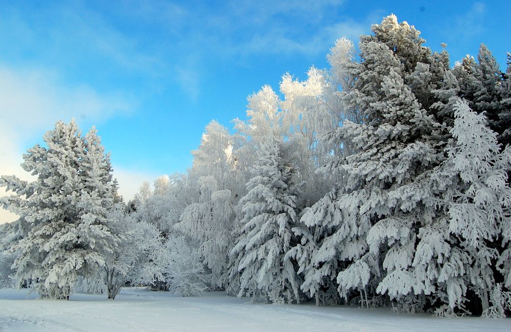 Photograph by Галина Походенко