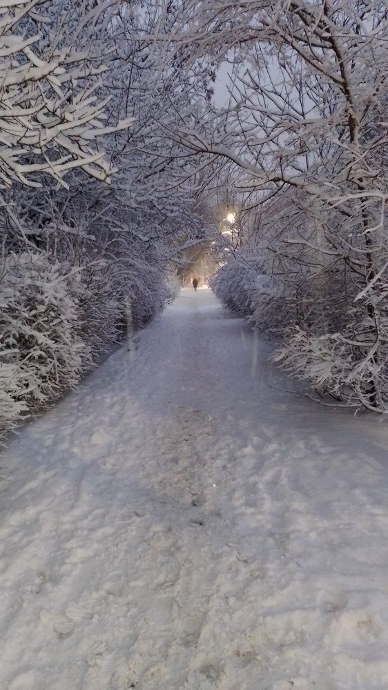Раннее утро в Ростове.