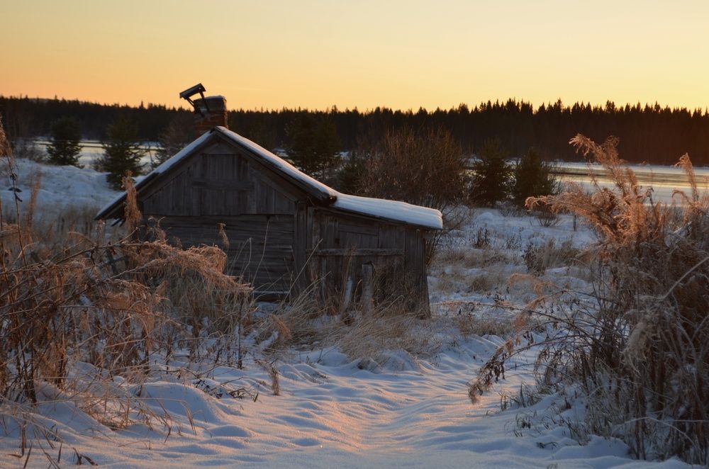 Photograph by Margareth