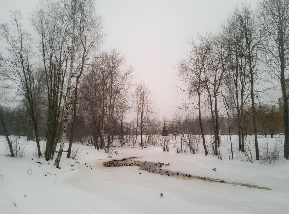 Photograph by Юрий Катков