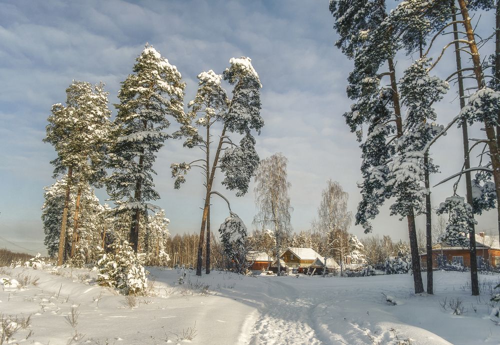 Photograph by Елена Ворошина