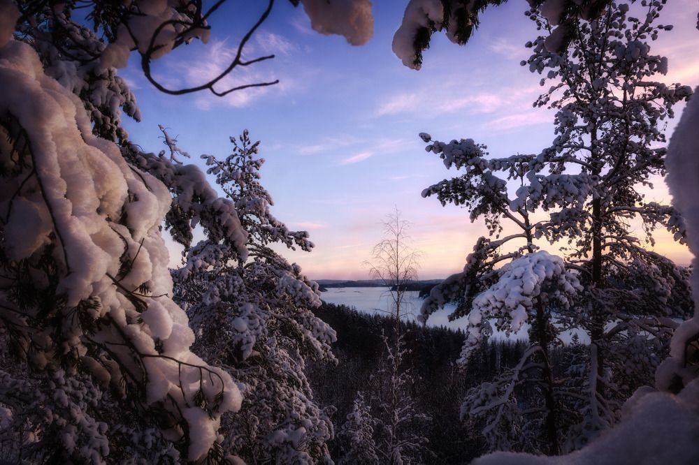 Фотография автора Полторак Семён