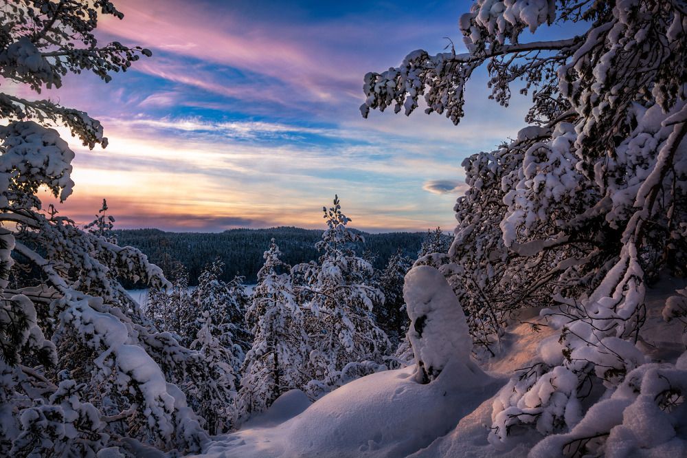 Фотография автора Полторак Семён