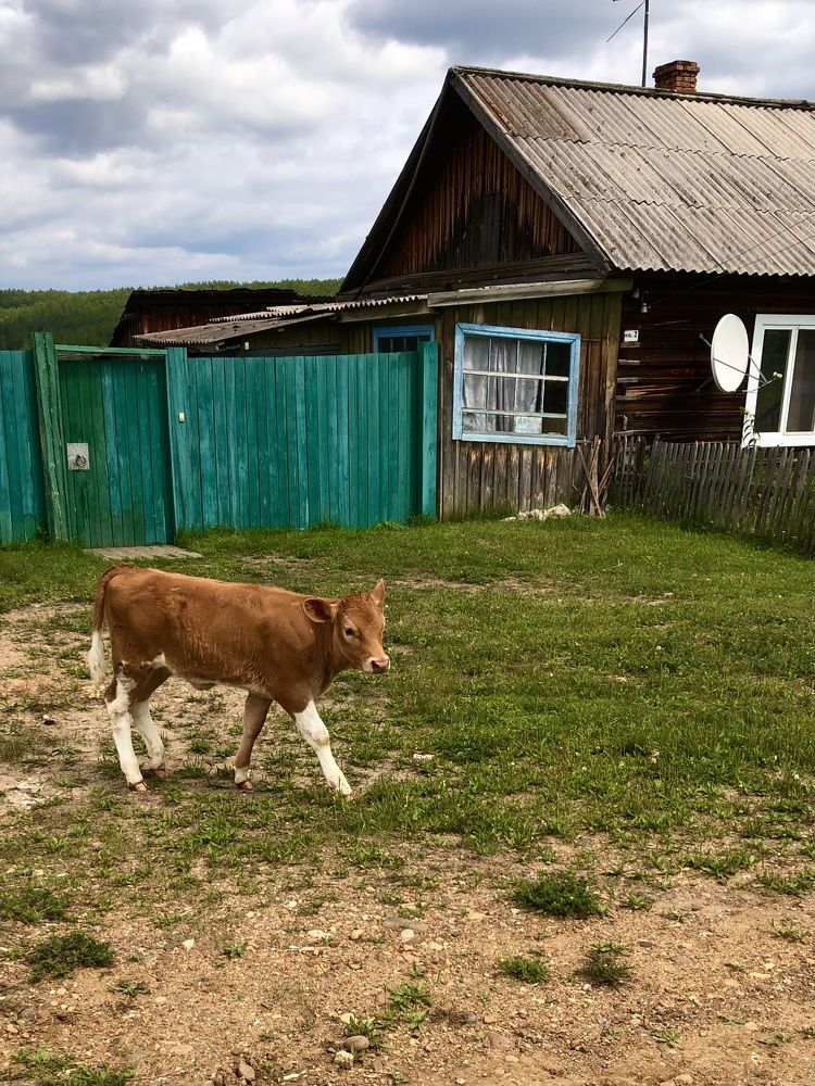 Фотография автора Светлана Гончарова