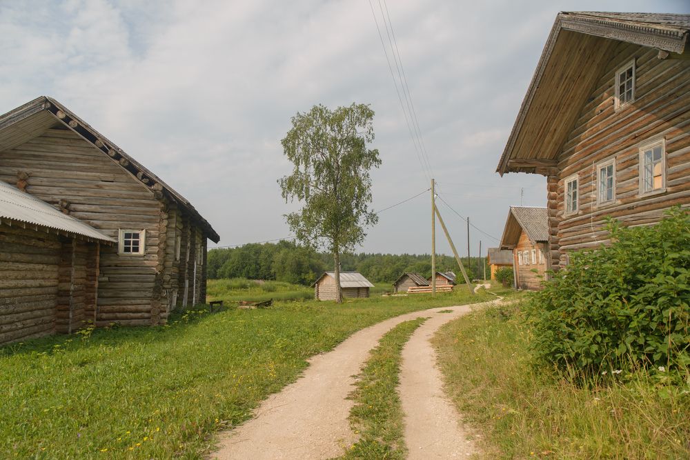 Photograph by Natalie Lamm