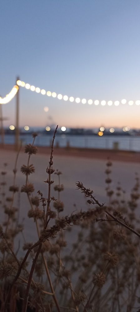 Photograph by Максим