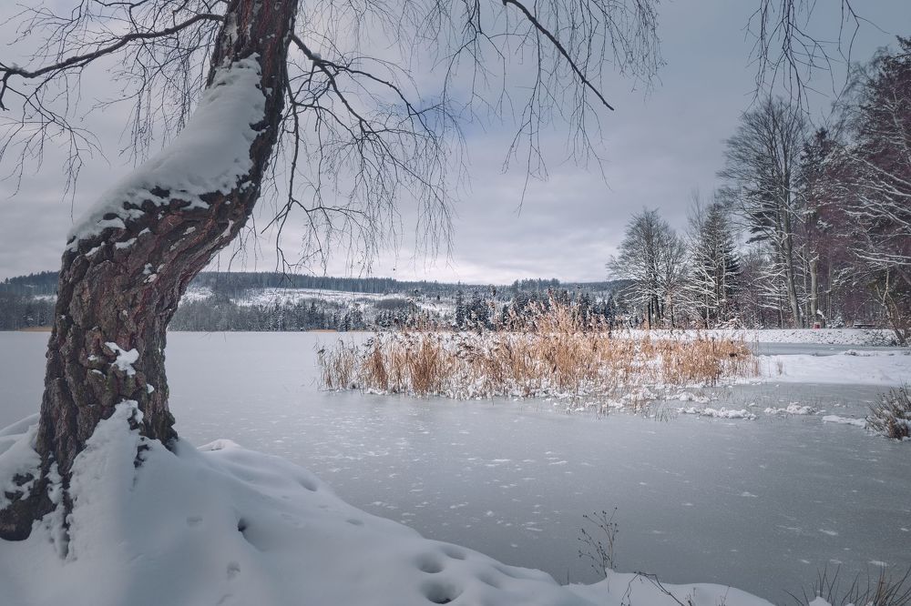 Photograph by Jan Musil