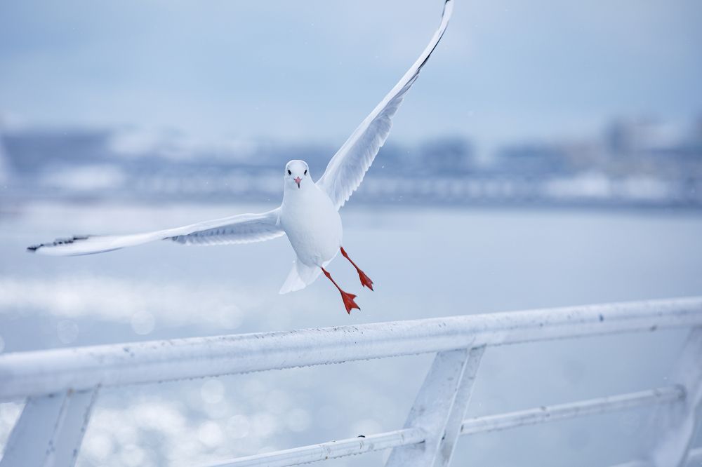 Photograph by Teymur Mammadov