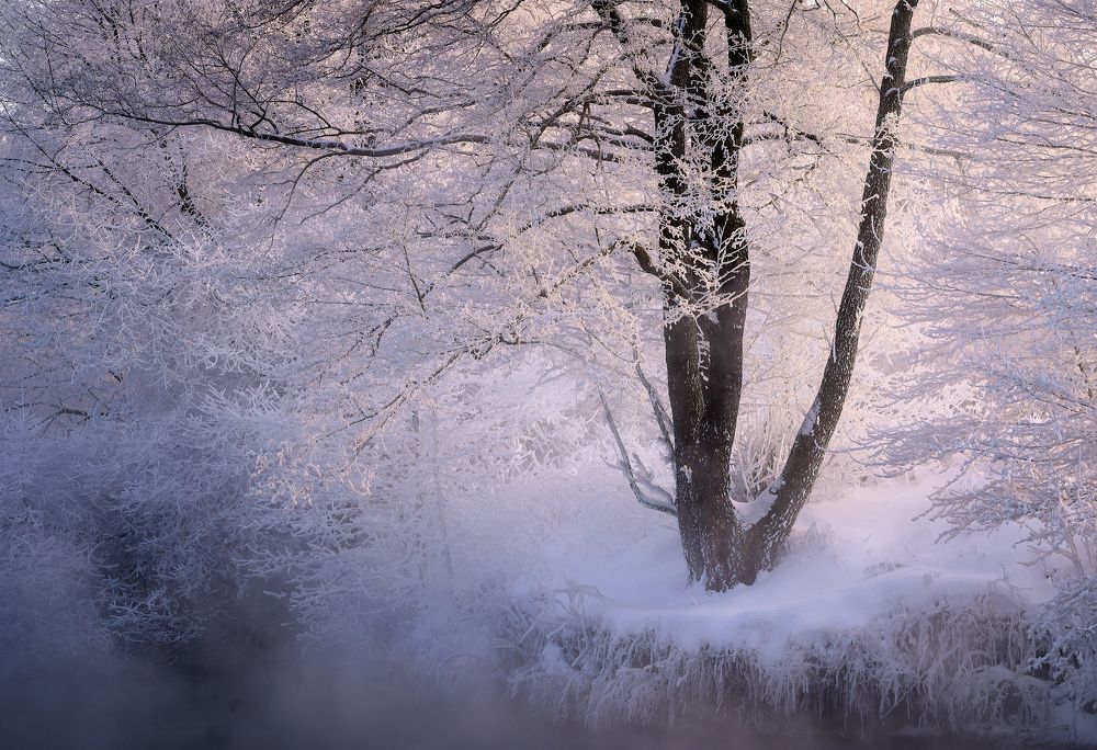 Photograph by Левыкин Виталий