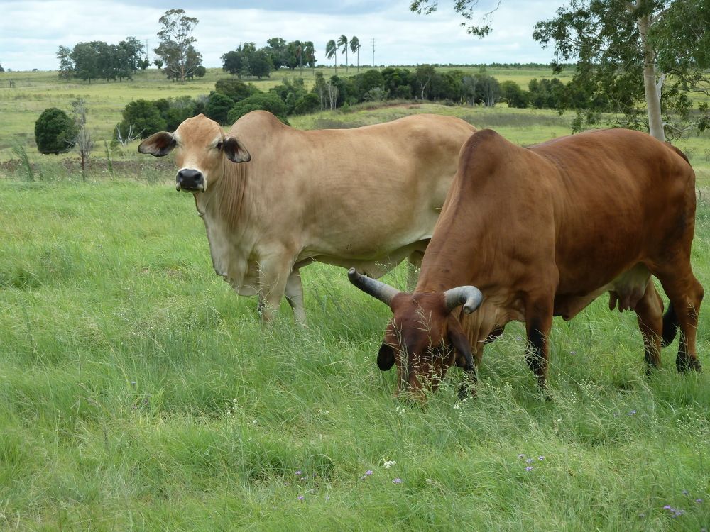 Фотография автора Maryanne