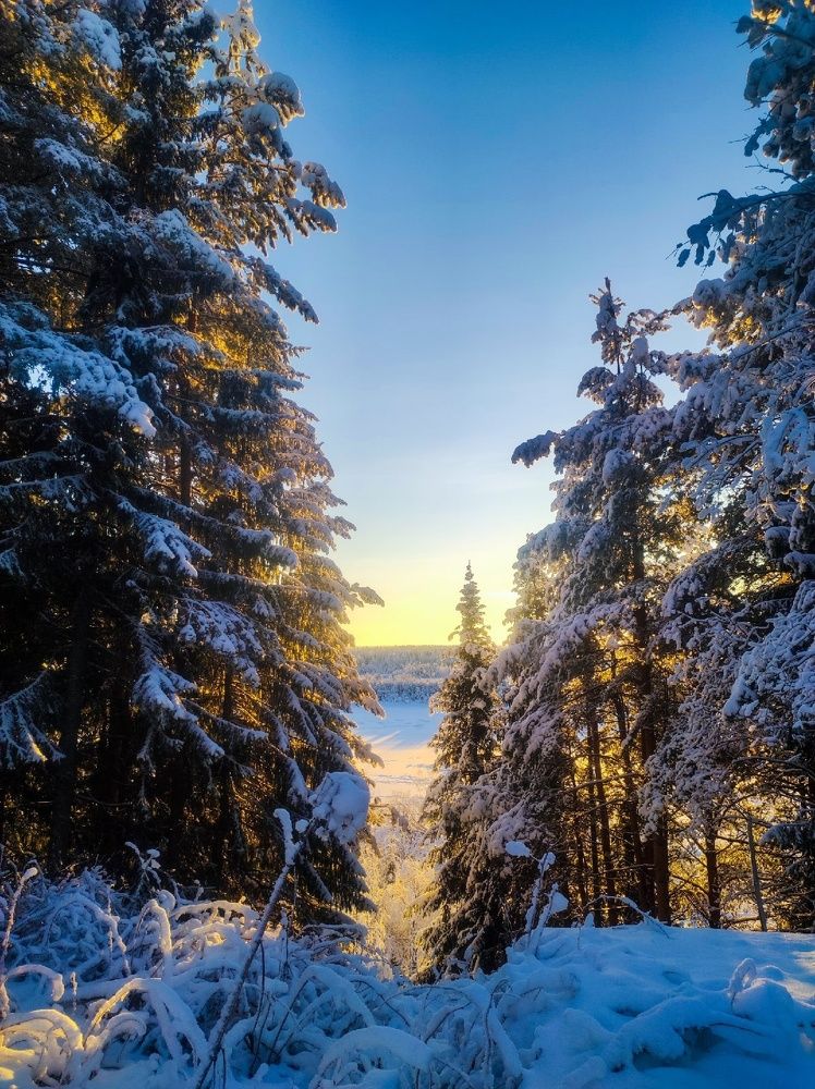 Photograph by Ксения