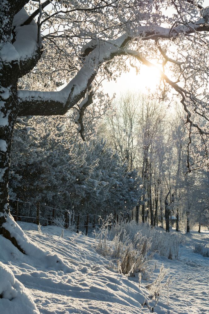 Фотография автора Irina Panina