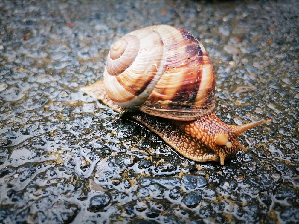 Photograph by Надежда Дойбан