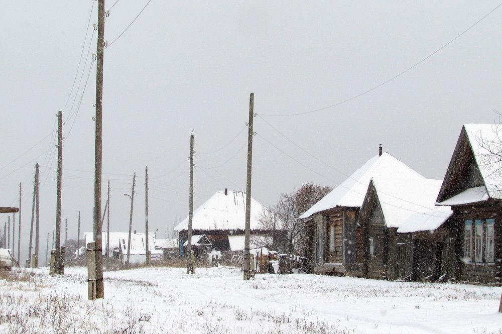 Здравствуй, зима!