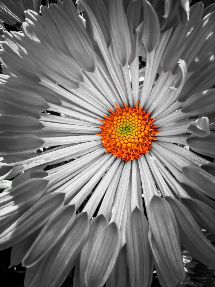 Photograph by Мария Цепилова