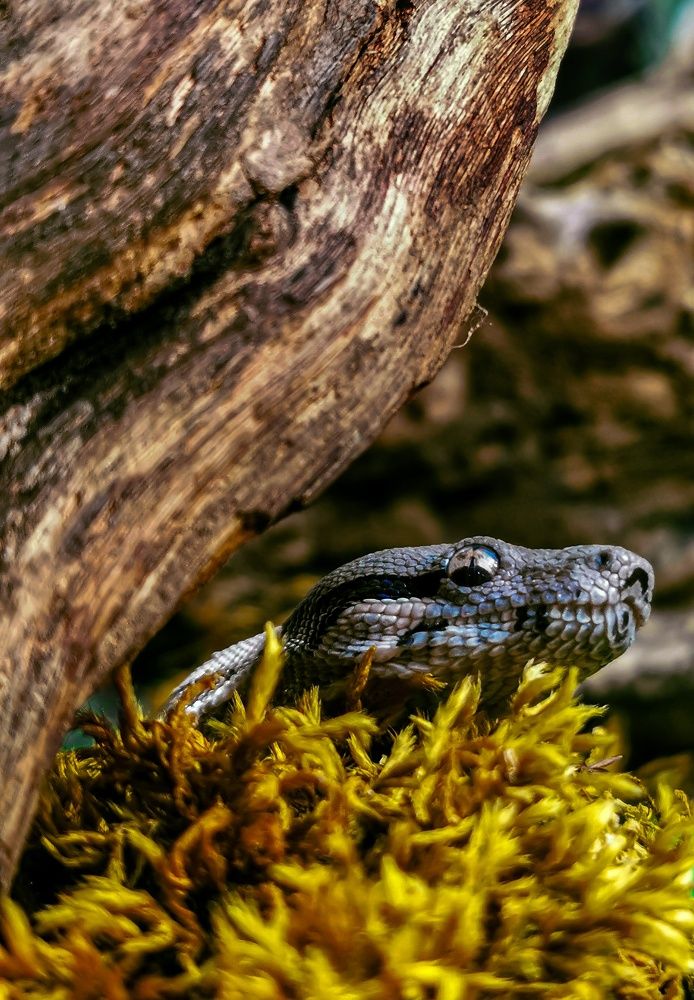 Photograph by Мария Цепилова