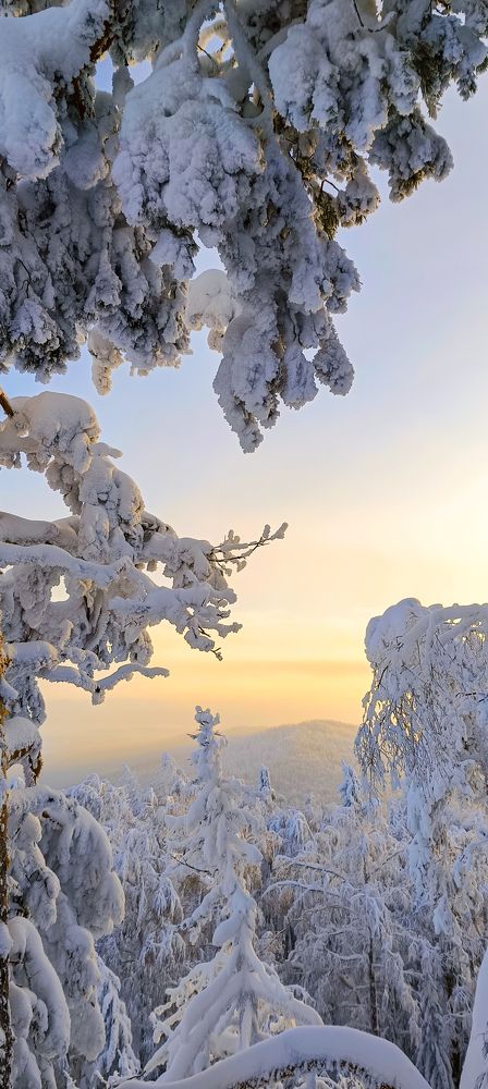 Photograph by Наиль Шакиров