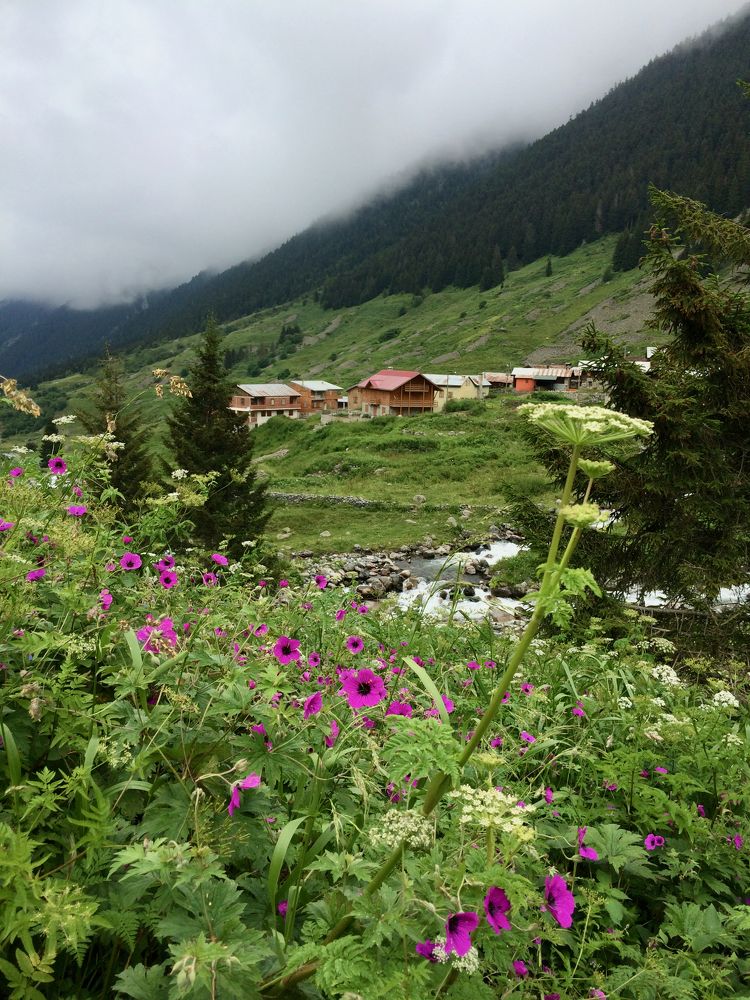 Photograph by Ahmet Aka