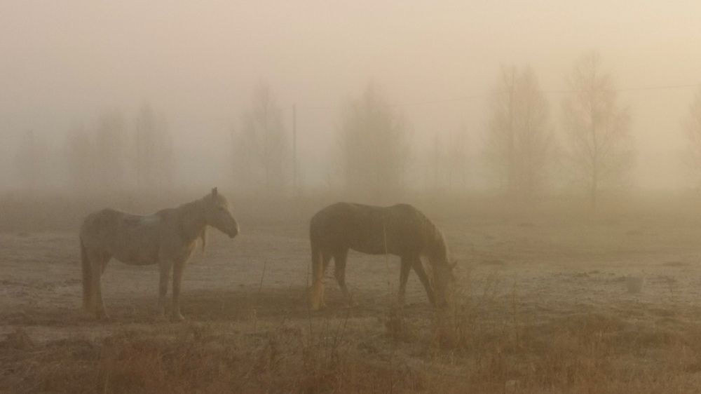 Photograph by Павел Кузьмин