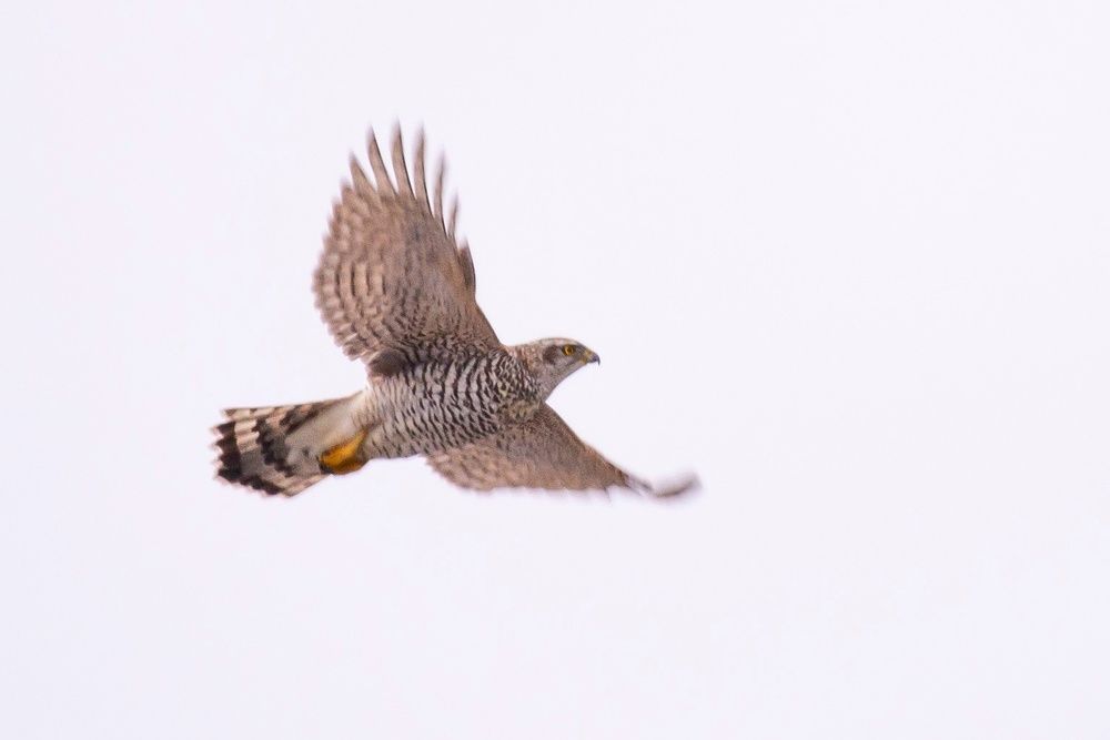 Photograph by Мария Долбич