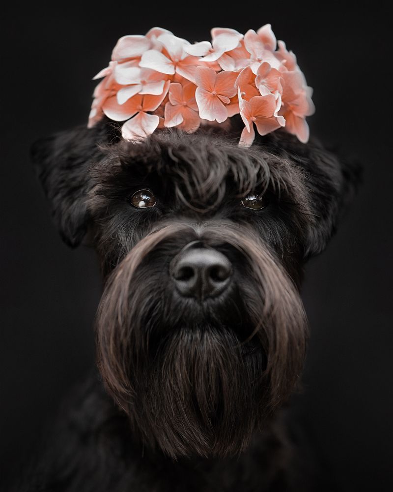 Photograph by Татьяна Полякова